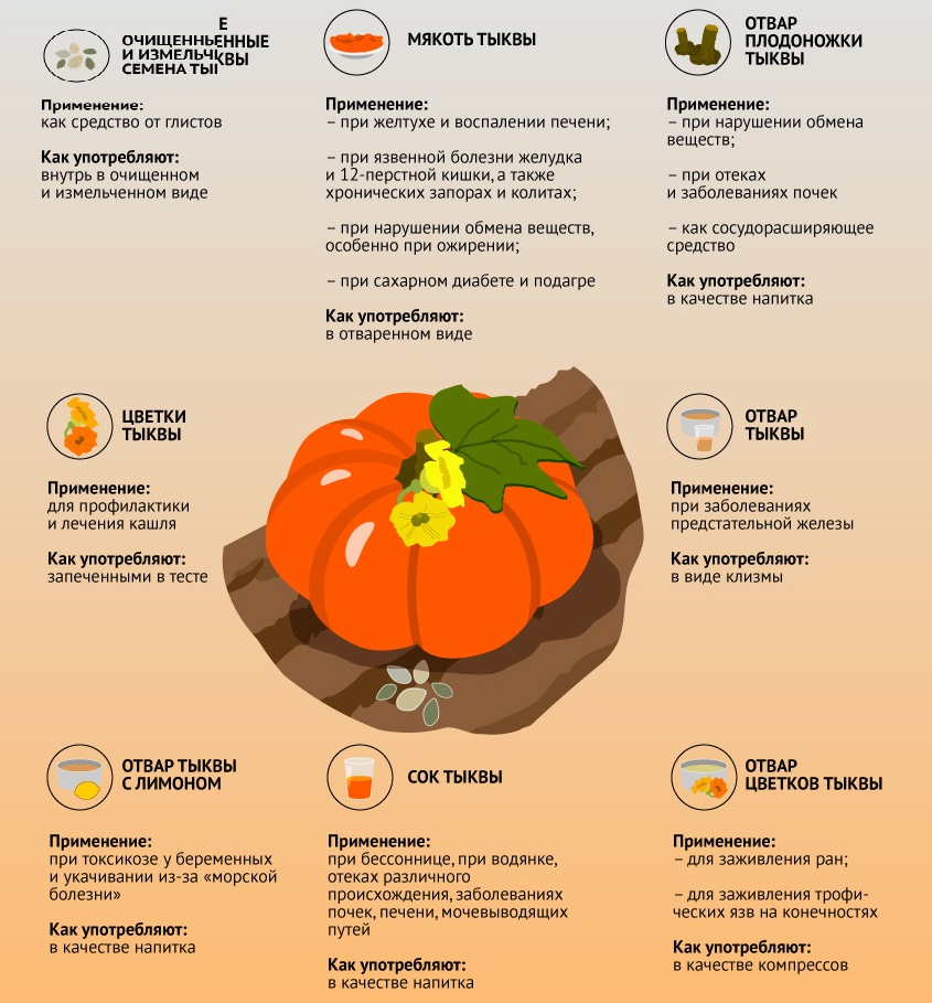 Лечебные свойства тыквы