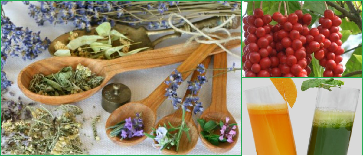 Полезные травы для глаз Травы для глаз