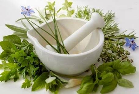 Травы от головной боли Травы от головной боли