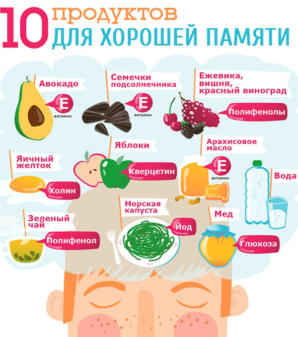 Продукты для хорошей памяти Тренировка памяти