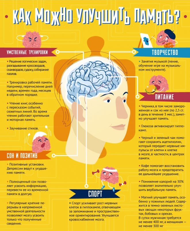 Как улучшить память? Укрепление памяти