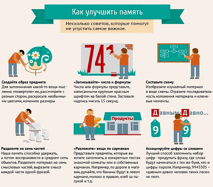 Советы как улучшить память Улучшить память