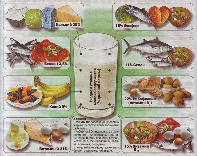 Витамины в молочных продуктах Витамины в молочных продуктах