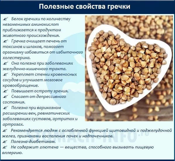 Полезные свойства гречки Полезная гречка