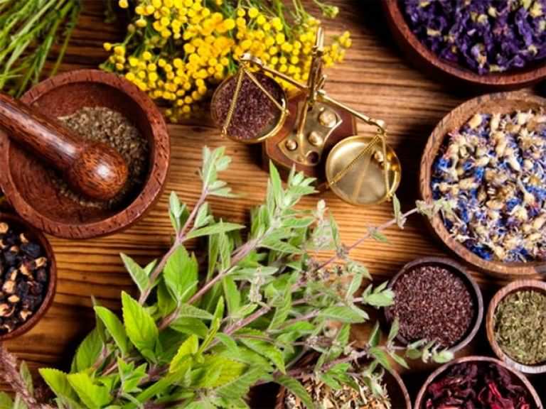 Лечение народными методами актуально и сейчас Лечение народными методами актуально и сейчас