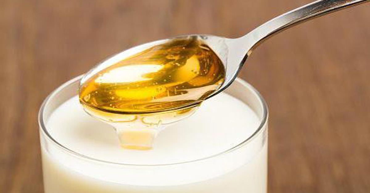 Мед и молоко – лучшее средство от кашля Мед и молоко – лучшее средство от кашля