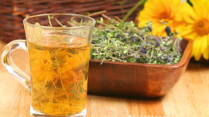 Отвары из лекарственных трав избавляют от кашля Отвары из лекарственных трав избавляют от кашля