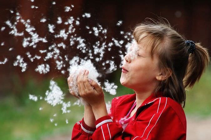 Причины аллергического кашля Причины аллергического кашля