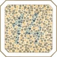 тест на дальтонизм