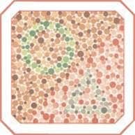 тест на дальтонизм