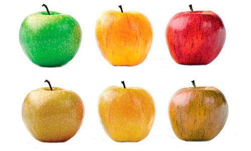 дальтонизм