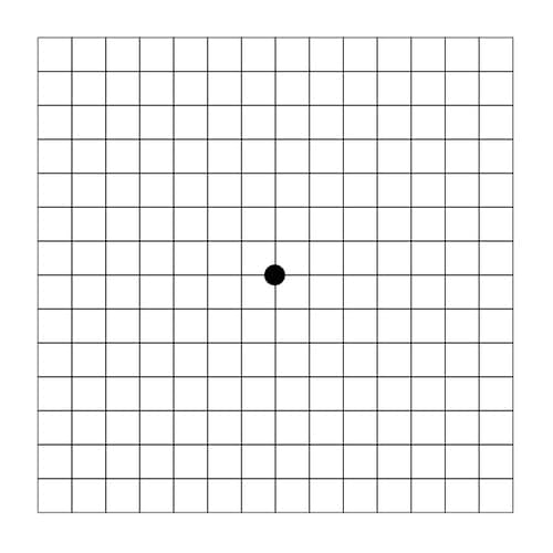 тест Амслера